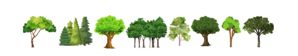 Circassian trees